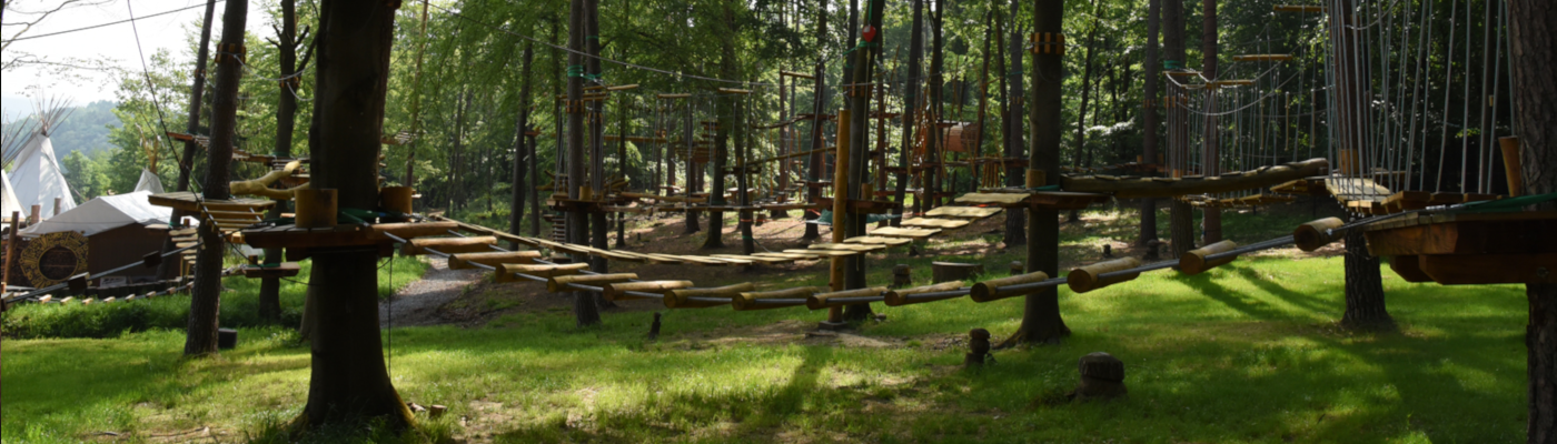 Im Wald da sind dir Räuber